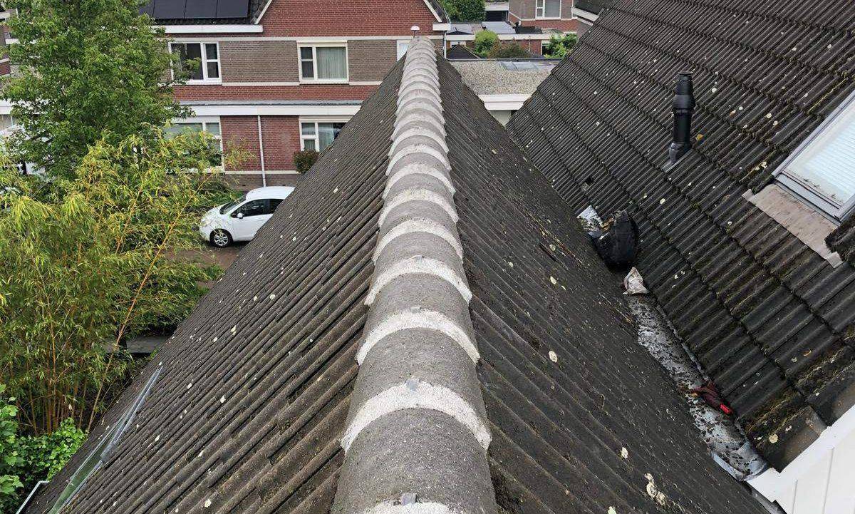 Nokvorsten Wageningen
